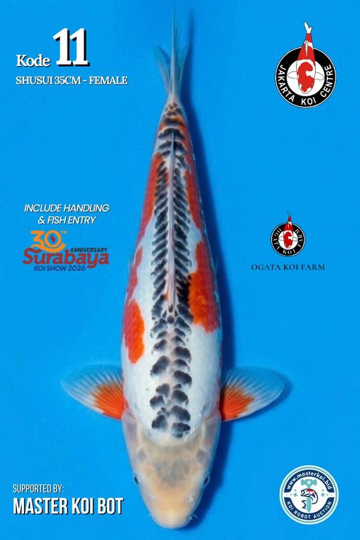 Lelang Koi Online, Jual Beli Ikan Koi, Pusat Jual Beli Koi, Info Lelang Koi Hari Ini, Platform Jual Beli Koi, Jual Beli Ikan Koi Online, Marketplace Ikan Koi, Jual Koi Terbaik, Tempat Beli Koi Berkualitas, Pasar Ikan Koi Online Terpercaya, Penjual Ikan Koi Terpercaya, Beli Koi Hias Online, Ikan Koi untuk Dijual, Koi Kualitas Terbaik, Toko Online Ikan Koi, Koi Hias Untuk Dijual, Jual Beli Ikan Koi Lokal, Koi Indonesia Online, Pusat Jual Beli Koi Terbesar