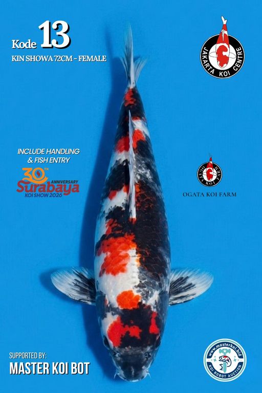 Lelang Koi Online, Jual Beli Ikan Koi, Pusat Jual Beli Koi, Info Lelang Koi Hari Ini, Platform Jual Beli Koi, Jual Beli Ikan Koi Online, Marketplace Ikan Koi, Jual Koi Terbaik, Tempat Beli Koi Berkualitas, Pasar Ikan Koi Online Terpercaya, Penjual Ikan Koi Terpercaya, Beli Koi Hias Online, Ikan Koi untuk Dijual, Koi Kualitas Terbaik, Toko Online Ikan Koi, Koi Hias Untuk Dijual, Jual Beli Ikan Koi Lokal, Koi Indonesia Online, Pusat Jual Beli Koi Terbesar
