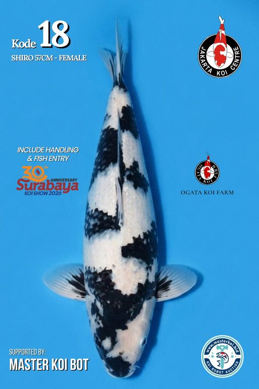 Lelang Koi Online, Jual Beli Ikan Koi, Pusat Jual Beli Koi, Info Lelang Koi Hari Ini, Platform Jual Beli Koi, Jual Beli Ikan Koi Online, Marketplace Ikan Koi, Jual Koi Terbaik, Tempat Beli Koi Berkualitas, Pasar Ikan Koi Online Terpercaya, Penjual Ikan Koi Terpercaya, Beli Koi Hias Online, Ikan Koi untuk Dijual, Koi Kualitas Terbaik, Toko Online Ikan Koi, Koi Hias Untuk Dijual, Jual Beli Ikan Koi Lokal, Koi Indonesia Online, Pusat Jual Beli Koi Terbesar