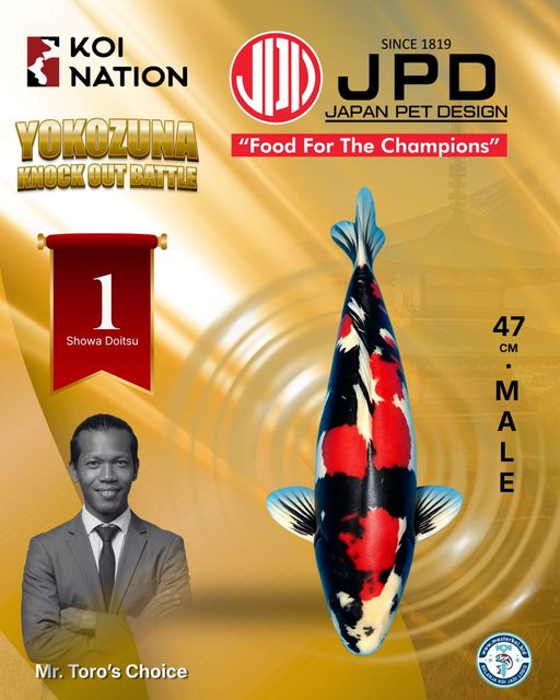 Lelang Koi Online, Jual Beli Ikan Koi, Pusat Jual Beli Koi, Info Lelang Koi Hari Ini, Platform Jual Beli Koi, Jual Beli Ikan Koi Online, Marketplace Ikan Koi, Jual Koi Terbaik, Tempat Beli Koi Berkualitas, Pasar Ikan Koi Online Terpercaya, Penjual Ikan Koi Terpercaya, Beli Koi Hias Online, Ikan Koi untuk Dijual, Koi Kualitas Terbaik, Toko Online Ikan Koi, Koi Hias Untuk Dijual, Jual Beli Ikan Koi Lokal, Koi Indonesia Online, Pusat Jual Beli Koi Terbesar