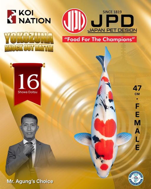 Lelang Koi Online, Jual Beli Ikan Koi, Pusat Jual Beli Koi, Info Lelang Koi Hari Ini, Platform Jual Beli Koi, Jual Beli Ikan Koi Online, Marketplace Ikan Koi, Jual Koi Terbaik, Tempat Beli Koi Berkualitas, Pasar Ikan Koi Online Terpercaya, Penjual Ikan Koi Terpercaya, Beli Koi Hias Online, Ikan Koi untuk Dijual, Koi Kualitas Terbaik, Toko Online Ikan Koi, Koi Hias Untuk Dijual, Jual Beli Ikan Koi Lokal, Koi Indonesia Online, Pusat Jual Beli Koi Terbesar