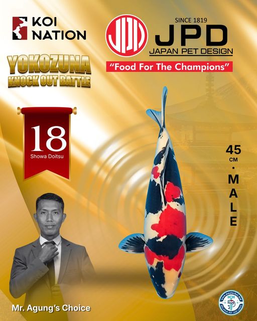 Lelang Koi Online, Jual Beli Ikan Koi, Pusat Jual Beli Koi, Info Lelang Koi Hari Ini, Platform Jual Beli Koi, Jual Beli Ikan Koi Online, Marketplace Ikan Koi, Jual Koi Terbaik, Tempat Beli Koi Berkualitas, Pasar Ikan Koi Online Terpercaya, Penjual Ikan Koi Terpercaya, Beli Koi Hias Online, Ikan Koi untuk Dijual, Koi Kualitas Terbaik, Toko Online Ikan Koi, Koi Hias Untuk Dijual, Jual Beli Ikan Koi Lokal, Koi Indonesia Online, Pusat Jual Beli Koi Terbesar