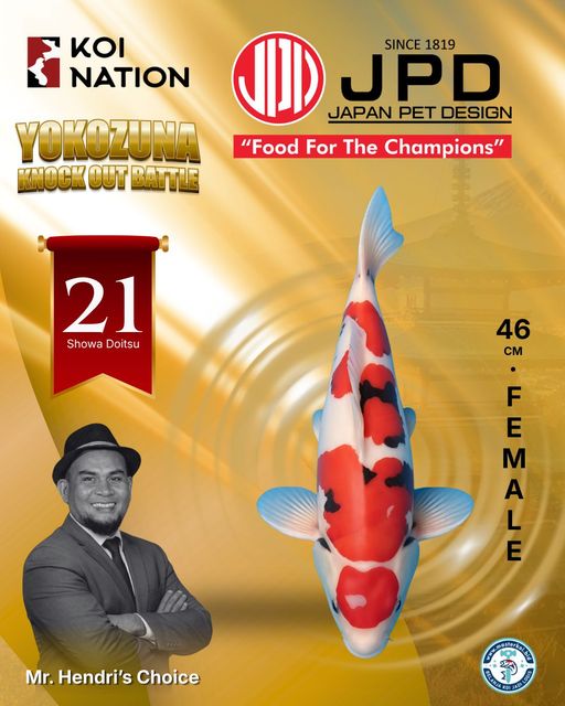21. SHOWA DOITSU 46c...