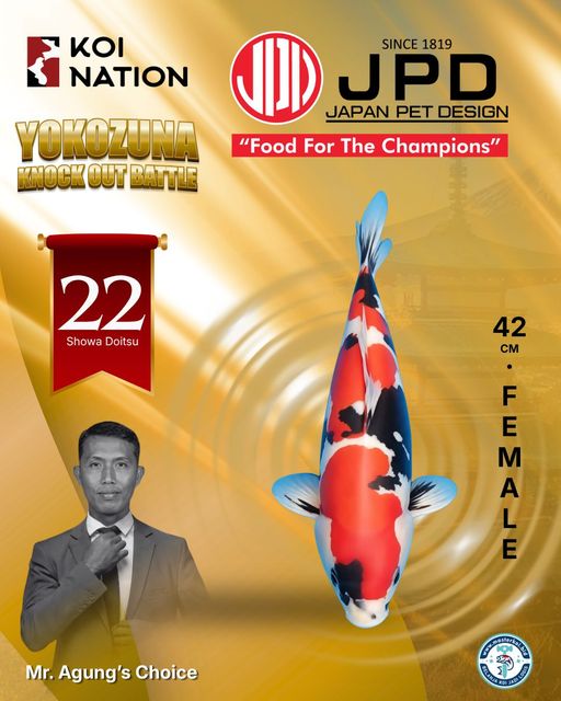 Lelang Koi Online, Jual Beli Ikan Koi, Pusat Jual Beli Koi, Info Lelang Koi Hari Ini, Platform Jual Beli Koi, Jual Beli Ikan Koi Online, Marketplace Ikan Koi, Jual Koi Terbaik, Tempat Beli Koi Berkualitas, Pasar Ikan Koi Online Terpercaya, Penjual Ikan Koi Terpercaya, Beli Koi Hias Online, Ikan Koi untuk Dijual, Koi Kualitas Terbaik, Toko Online Ikan Koi, Koi Hias Untuk Dijual, Jual Beli Ikan Koi Lokal, Koi Indonesia Online, Pusat Jual Beli Koi Terbesar