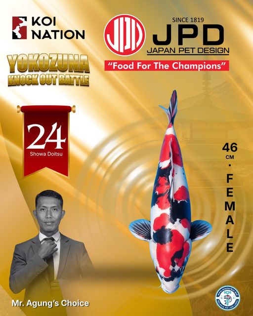 Lelang Koi Online, Jual Beli Ikan Koi, Pusat Jual Beli Koi, Info Lelang Koi Hari Ini, Platform Jual Beli Koi, Jual Beli Ikan Koi Online, Marketplace Ikan Koi, Jual Koi Terbaik, Tempat Beli Koi Berkualitas, Pasar Ikan Koi Online Terpercaya, Penjual Ikan Koi Terpercaya, Beli Koi Hias Online, Ikan Koi untuk Dijual, Koi Kualitas Terbaik, Toko Online Ikan Koi, Koi Hias Untuk Dijual, Jual Beli Ikan Koi Lokal, Koi Indonesia Online, Pusat Jual Beli Koi Terbesar