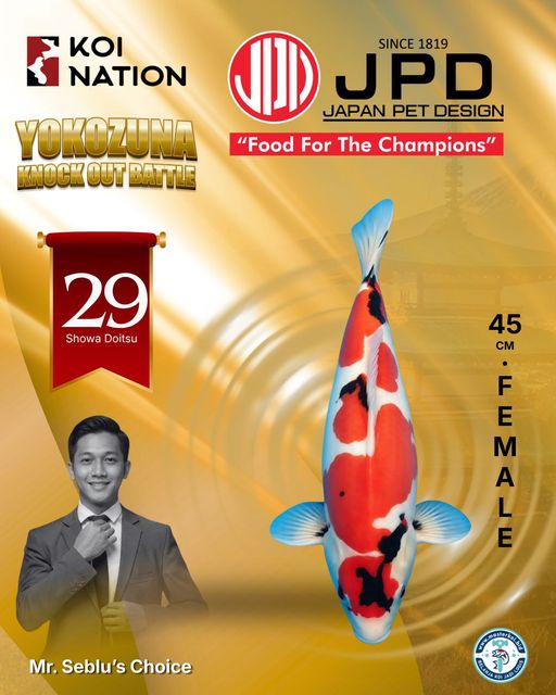 Lelang Koi Online, Jual Beli Ikan Koi, Pusat Jual Beli Koi, Info Lelang Koi Hari Ini, Platform Jual Beli Koi, Jual Beli Ikan Koi Online, Marketplace Ikan Koi, Jual Koi Terbaik, Tempat Beli Koi Berkualitas, Pasar Ikan Koi Online Terpercaya, Penjual Ikan Koi Terpercaya, Beli Koi Hias Online, Ikan Koi untuk Dijual, Koi Kualitas Terbaik, Toko Online Ikan Koi, Koi Hias Untuk Dijual, Jual Beli Ikan Koi Lokal, Koi Indonesia Online, Pusat Jual Beli Koi Terbesar
