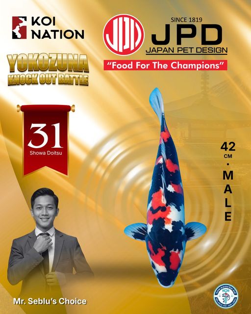 Lelang Koi Online, Jual Beli Ikan Koi, Pusat Jual Beli Koi, Info Lelang Koi Hari Ini, Platform Jual Beli Koi, Jual Beli Ikan Koi Online, Marketplace Ikan Koi, Jual Koi Terbaik, Tempat Beli Koi Berkualitas, Pasar Ikan Koi Online Terpercaya, Penjual Ikan Koi Terpercaya, Beli Koi Hias Online, Ikan Koi untuk Dijual, Koi Kualitas Terbaik, Toko Online Ikan Koi, Koi Hias Untuk Dijual, Jual Beli Ikan Koi Lokal, Koi Indonesia Online, Pusat Jual Beli Koi Terbesar