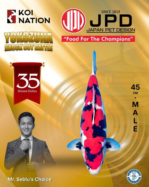 Lelang Koi Online, Jual Beli Ikan Koi, Pusat Jual Beli Koi, Info Lelang Koi Hari Ini, Platform Jual Beli Koi, Jual Beli Ikan Koi Online, Marketplace Ikan Koi, Jual Koi Terbaik, Tempat Beli Koi Berkualitas, Pasar Ikan Koi Online Terpercaya, Penjual Ikan Koi Terpercaya, Beli Koi Hias Online, Ikan Koi untuk Dijual, Koi Kualitas Terbaik, Toko Online Ikan Koi, Koi Hias Untuk Dijual, Jual Beli Ikan Koi Lokal, Koi Indonesia Online, Pusat Jual Beli Koi Terbesar