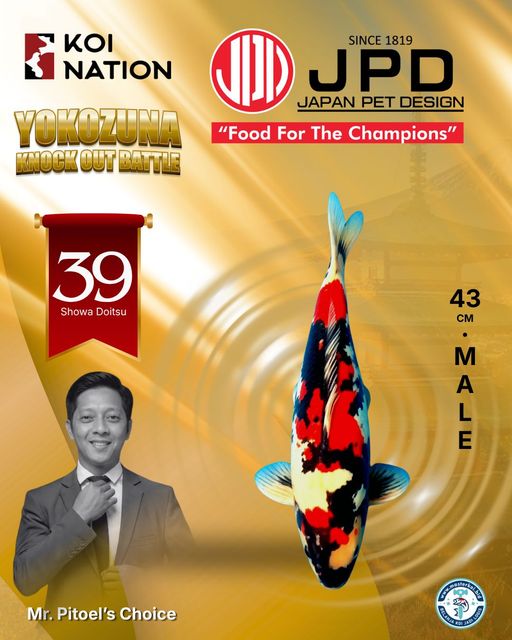 Lelang Koi Online, Jual Beli Ikan Koi, Pusat Jual Beli Koi, Info Lelang Koi Hari Ini, Platform Jual Beli Koi, Jual Beli Ikan Koi Online, Marketplace Ikan Koi, Jual Koi Terbaik, Tempat Beli Koi Berkualitas, Pasar Ikan Koi Online Terpercaya, Penjual Ikan Koi Terpercaya, Beli Koi Hias Online, Ikan Koi untuk Dijual, Koi Kualitas Terbaik, Toko Online Ikan Koi, Koi Hias Untuk Dijual, Jual Beli Ikan Koi Lokal, Koi Indonesia Online, Pusat Jual Beli Koi Terbesar