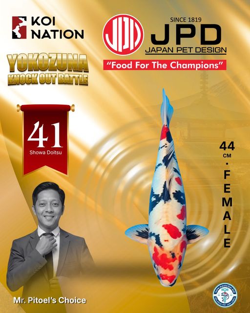 Lelang Koi Online, Jual Beli Ikan Koi, Pusat Jual Beli Koi, Info Lelang Koi Hari Ini, Platform Jual Beli Koi, Jual Beli Ikan Koi Online, Marketplace Ikan Koi, Jual Koi Terbaik, Tempat Beli Koi Berkualitas, Pasar Ikan Koi Online Terpercaya, Penjual Ikan Koi Terpercaya, Beli Koi Hias Online, Ikan Koi untuk Dijual, Koi Kualitas Terbaik, Toko Online Ikan Koi, Koi Hias Untuk Dijual, Jual Beli Ikan Koi Lokal, Koi Indonesia Online, Pusat Jual Beli Koi Terbesar