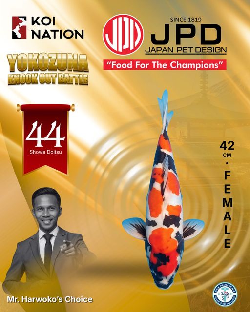 Lelang Koi Online, Jual Beli Ikan Koi, Pusat Jual Beli Koi, Info Lelang Koi Hari Ini, Platform Jual Beli Koi, Jual Beli Ikan Koi Online, Marketplace Ikan Koi, Jual Koi Terbaik, Tempat Beli Koi Berkualitas, Pasar Ikan Koi Online Terpercaya, Penjual Ikan Koi Terpercaya, Beli Koi Hias Online, Ikan Koi untuk Dijual, Koi Kualitas Terbaik, Toko Online Ikan Koi, Koi Hias Untuk Dijual, Jual Beli Ikan Koi Lokal, Koi Indonesia Online, Pusat Jual Beli Koi Terbesar