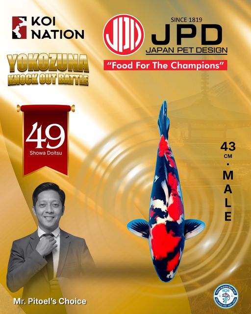 Lelang Koi Online, Jual Beli Ikan Koi, Pusat Jual Beli Koi, Info Lelang Koi Hari Ini, Platform Jual Beli Koi, Jual Beli Ikan Koi Online, Marketplace Ikan Koi, Jual Koi Terbaik, Tempat Beli Koi Berkualitas, Pasar Ikan Koi Online Terpercaya, Penjual Ikan Koi Terpercaya, Beli Koi Hias Online, Ikan Koi untuk Dijual, Koi Kualitas Terbaik, Toko Online Ikan Koi, Koi Hias Untuk Dijual, Jual Beli Ikan Koi Lokal, Koi Indonesia Online, Pusat Jual Beli Koi Terbesar