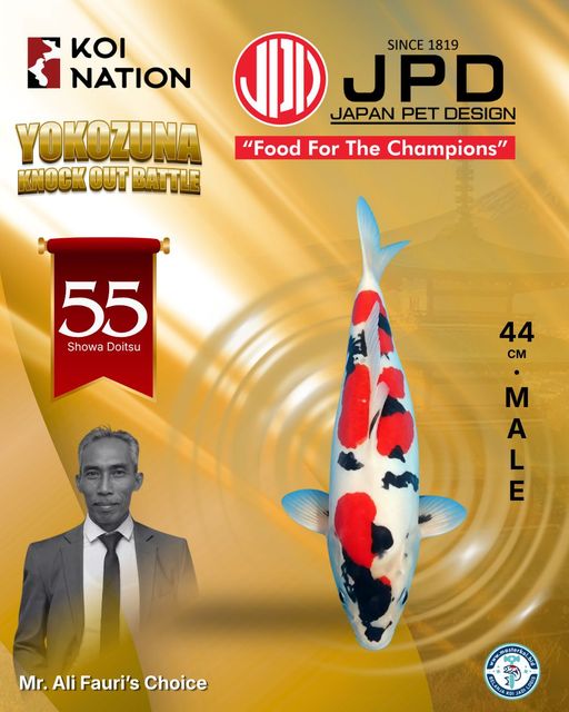 Lelang Koi Online, Jual Beli Ikan Koi, Pusat Jual Beli Koi, Info Lelang Koi Hari Ini, Platform Jual Beli Koi, Jual Beli Ikan Koi Online, Marketplace Ikan Koi, Jual Koi Terbaik, Tempat Beli Koi Berkualitas, Pasar Ikan Koi Online Terpercaya, Penjual Ikan Koi Terpercaya, Beli Koi Hias Online, Ikan Koi untuk Dijual, Koi Kualitas Terbaik, Toko Online Ikan Koi, Koi Hias Untuk Dijual, Jual Beli Ikan Koi Lokal, Koi Indonesia Online, Pusat Jual Beli Koi Terbesar
