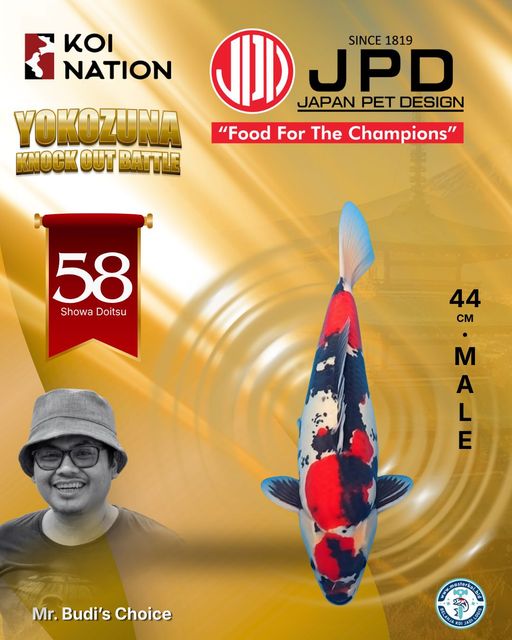 Lelang Koi Online, Jual Beli Ikan Koi, Pusat Jual Beli Koi, Info Lelang Koi Hari Ini, Platform Jual Beli Koi, Jual Beli Ikan Koi Online, Marketplace Ikan Koi, Jual Koi Terbaik, Tempat Beli Koi Berkualitas, Pasar Ikan Koi Online Terpercaya, Penjual Ikan Koi Terpercaya, Beli Koi Hias Online, Ikan Koi untuk Dijual, Koi Kualitas Terbaik, Toko Online Ikan Koi, Koi Hias Untuk Dijual, Jual Beli Ikan Koi Lokal, Koi Indonesia Online, Pusat Jual Beli Koi Terbesar