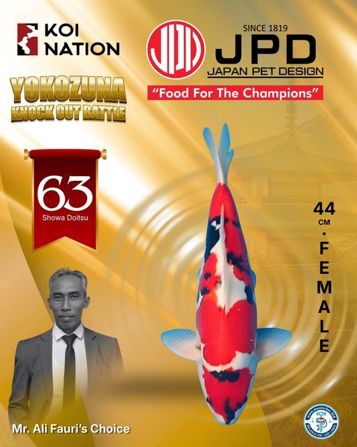 Lelang Koi Online, Jual Beli Ikan Koi, Pusat Jual Beli Koi, Info Lelang Koi Hari Ini, Platform Jual Beli Koi, Jual Beli Ikan Koi Online, Marketplace Ikan Koi, Jual Koi Terbaik, Tempat Beli Koi Berkualitas, Pasar Ikan Koi Online Terpercaya, Penjual Ikan Koi Terpercaya, Beli Koi Hias Online, Ikan Koi untuk Dijual, Koi Kualitas Terbaik, Toko Online Ikan Koi, Koi Hias Untuk Dijual, Jual Beli Ikan Koi Lokal, Koi Indonesia Online, Pusat Jual Beli Koi Terbesar