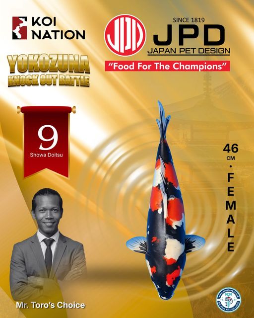 Lelang Koi Online, Jual Beli Ikan Koi, Pusat Jual Beli Koi, Info Lelang Koi Hari Ini, Platform Jual Beli Koi, Jual Beli Ikan Koi Online, Marketplace Ikan Koi, Jual Koi Terbaik, Tempat Beli Koi Berkualitas, Pasar Ikan Koi Online Terpercaya, Penjual Ikan Koi Terpercaya, Beli Koi Hias Online, Ikan Koi untuk Dijual, Koi Kualitas Terbaik, Toko Online Ikan Koi, Koi Hias Untuk Dijual, Jual Beli Ikan Koi Lokal, Koi Indonesia Online, Pusat Jual Beli Koi Terbesar
