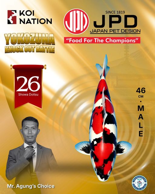Lelang Koi Online, Jual Beli Ikan Koi, Pusat Jual Beli Koi, Info Lelang Koi Hari Ini, Platform Jual Beli Koi, Jual Beli Ikan Koi Online, Marketplace Ikan Koi, Jual Koi Terbaik, Tempat Beli Koi Berkualitas, Pasar Ikan Koi Online Terpercaya, Penjual Ikan Koi Terpercaya, Beli Koi Hias Online, Ikan Koi untuk Dijual, Koi Kualitas Terbaik, Toko Online Ikan Koi, Koi Hias Untuk Dijual, Jual Beli Ikan Koi Lokal, Koi Indonesia Online, Pusat Jual Beli Koi Terbesar