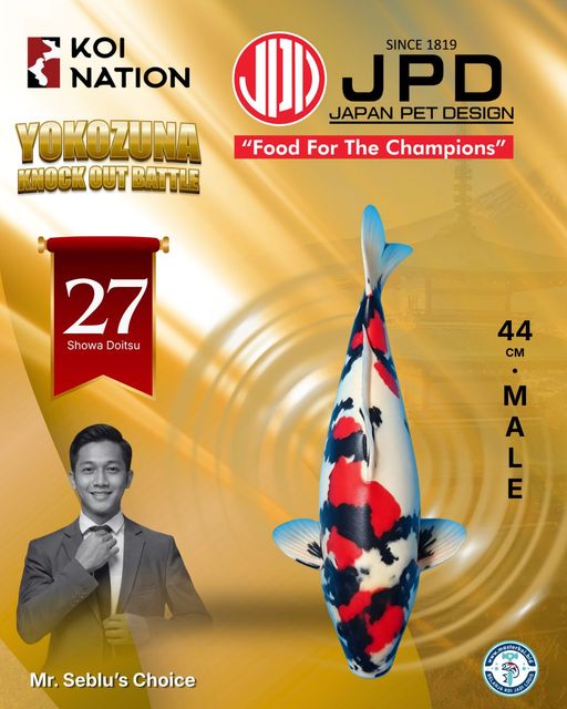 Lelang Koi Online, Jual Beli Ikan Koi, Pusat Jual Beli Koi, Info Lelang Koi Hari Ini, Platform Jual Beli Koi, Jual Beli Ikan Koi Online, Marketplace Ikan Koi, Jual Koi Terbaik, Tempat Beli Koi Berkualitas, Pasar Ikan Koi Online Terpercaya, Penjual Ikan Koi Terpercaya, Beli Koi Hias Online, Ikan Koi untuk Dijual, Koi Kualitas Terbaik, Toko Online Ikan Koi, Koi Hias Untuk Dijual, Jual Beli Ikan Koi Lokal, Koi Indonesia Online, Pusat Jual Beli Koi Terbesar