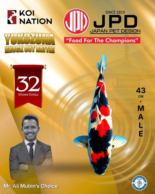 Lelang Koi Online, Jual Beli Ikan Koi, Pusat Jual Beli Koi, Info Lelang Koi Hari Ini, Platform Jual Beli Koi, Jual Beli Ikan Koi Online, Marketplace Ikan Koi, Jual Koi Terbaik, Tempat Beli Koi Berkualitas, Pasar Ikan Koi Online Terpercaya, Penjual Ikan Koi Terpercaya, Beli Koi Hias Online, Ikan Koi untuk Dijual, Koi Kualitas Terbaik, Toko Online Ikan Koi, Koi Hias Untuk Dijual, Jual Beli Ikan Koi Lokal, Koi Indonesia Online, Pusat Jual Beli Koi Terbesar