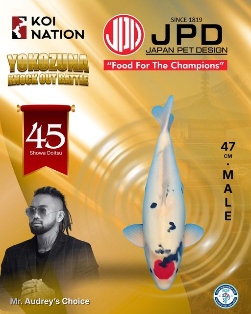 Lelang Koi Online, Jual Beli Ikan Koi, Pusat Jual Beli Koi, Info Lelang Koi Hari Ini, Platform Jual Beli Koi, Jual Beli Ikan Koi Online, Marketplace Ikan Koi, Jual Koi Terbaik, Tempat Beli Koi Berkualitas, Pasar Ikan Koi Online Terpercaya, Penjual Ikan Koi Terpercaya, Beli Koi Hias Online, Ikan Koi untuk Dijual, Koi Kualitas Terbaik, Toko Online Ikan Koi, Koi Hias Untuk Dijual, Jual Beli Ikan Koi Lokal, Koi Indonesia Online, Pusat Jual Beli Koi Terbesar