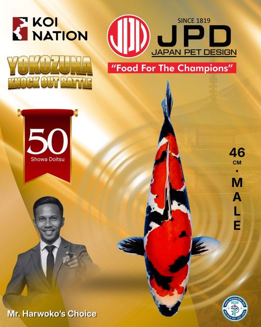 Lelang Koi Online, Jual Beli Ikan Koi, Pusat Jual Beli Koi, Info Lelang Koi Hari Ini, Platform Jual Beli Koi, Jual Beli Ikan Koi Online, Marketplace Ikan Koi, Jual Koi Terbaik, Tempat Beli Koi Berkualitas, Pasar Ikan Koi Online Terpercaya, Penjual Ikan Koi Terpercaya, Beli Koi Hias Online, Ikan Koi untuk Dijual, Koi Kualitas Terbaik, Toko Online Ikan Koi, Koi Hias Untuk Dijual, Jual Beli Ikan Koi Lokal, Koi Indonesia Online, Pusat Jual Beli Koi Terbesar