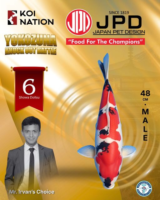 Lelang Koi Online, Jual Beli Ikan Koi, Pusat Jual Beli Koi, Info Lelang Koi Hari Ini, Platform Jual Beli Koi, Jual Beli Ikan Koi Online, Marketplace Ikan Koi, Jual Koi Terbaik, Tempat Beli Koi Berkualitas, Pasar Ikan Koi Online Terpercaya, Penjual Ikan Koi Terpercaya, Beli Koi Hias Online, Ikan Koi untuk Dijual, Koi Kualitas Terbaik, Toko Online Ikan Koi, Koi Hias Untuk Dijual, Jual Beli Ikan Koi Lokal, Koi Indonesia Online, Pusat Jual Beli Koi Terbesar