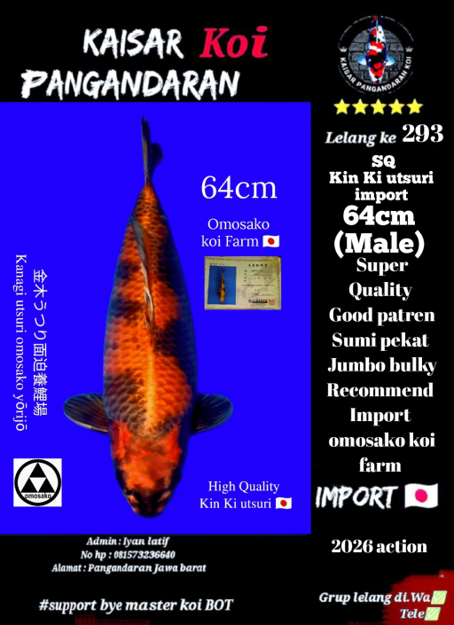B. KIN UTSURI IMPORT...