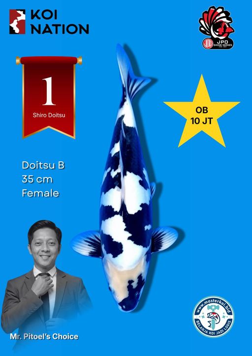 Lelang Koi Online, Jual Beli Ikan Koi, Pusat Jual Beli Koi, Info Lelang Koi Hari Ini, Platform Jual Beli Koi, Jual Beli Ikan Koi Online, Marketplace Ikan Koi, Jual Koi Terbaik, Tempat Beli Koi Berkualitas, Pasar Ikan Koi Online Terpercaya, Penjual Ikan Koi Terpercaya, Beli Koi Hias Online, Ikan Koi untuk Dijual, Koi Kualitas Terbaik, Toko Online Ikan Koi, Koi Hias Untuk Dijual, Jual Beli Ikan Koi Lokal, Koi Indonesia Online, Pusat Jual Beli Koi Terbesar