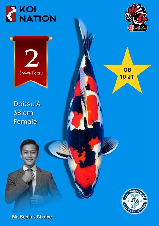Lelang Koi Online, Jual Beli Ikan Koi, Pusat Jual Beli Koi, Info Lelang Koi Hari Ini, Platform Jual Beli Koi, Jual Beli Ikan Koi Online, Marketplace Ikan Koi, Jual Koi Terbaik, Tempat Beli Koi Berkualitas, Pasar Ikan Koi Online Terpercaya, Penjual Ikan Koi Terpercaya, Beli Koi Hias Online, Ikan Koi untuk Dijual, Koi Kualitas Terbaik, Toko Online Ikan Koi, Koi Hias Untuk Dijual, Jual Beli Ikan Koi Lokal, Koi Indonesia Online, Pusat Jual Beli Koi Terbesar