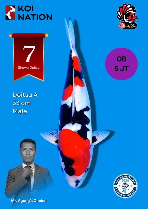 Lelang Koi Online, Jual Beli Ikan Koi, Pusat Jual Beli Koi, Info Lelang Koi Hari Ini, Platform Jual Beli Koi, Jual Beli Ikan Koi Online, Marketplace Ikan Koi, Jual Koi Terbaik, Tempat Beli Koi Berkualitas, Pasar Ikan Koi Online Terpercaya, Penjual Ikan Koi Terpercaya, Beli Koi Hias Online, Ikan Koi untuk Dijual, Koi Kualitas Terbaik, Toko Online Ikan Koi, Koi Hias Untuk Dijual, Jual Beli Ikan Koi Lokal, Koi Indonesia Online, Pusat Jual Beli Koi Terbesar