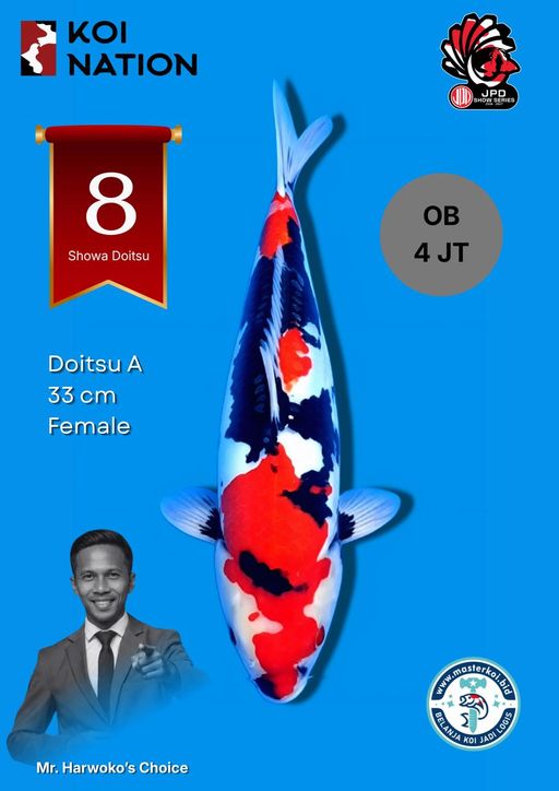 Lelang Koi Online, Jual Beli Ikan Koi, Pusat Jual Beli Koi, Info Lelang Koi Hari Ini, Platform Jual Beli Koi, Jual Beli Ikan Koi Online, Marketplace Ikan Koi, Jual Koi Terbaik, Tempat Beli Koi Berkualitas, Pasar Ikan Koi Online Terpercaya, Penjual Ikan Koi Terpercaya, Beli Koi Hias Online, Ikan Koi untuk Dijual, Koi Kualitas Terbaik, Toko Online Ikan Koi, Koi Hias Untuk Dijual, Jual Beli Ikan Koi Lokal, Koi Indonesia Online, Pusat Jual Beli Koi Terbesar
