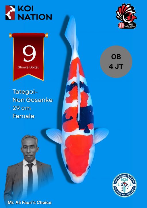 Lelang Koi Online, Jual Beli Ikan Koi, Pusat Jual Beli Koi, Info Lelang Koi Hari Ini, Platform Jual Beli Koi, Jual Beli Ikan Koi Online, Marketplace Ikan Koi, Jual Koi Terbaik, Tempat Beli Koi Berkualitas, Pasar Ikan Koi Online Terpercaya, Penjual Ikan Koi Terpercaya, Beli Koi Hias Online, Ikan Koi untuk Dijual, Koi Kualitas Terbaik, Toko Online Ikan Koi, Koi Hias Untuk Dijual, Jual Beli Ikan Koi Lokal, Koi Indonesia Online, Pusat Jual Beli Koi Terbesar