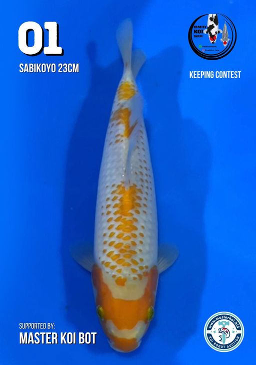 Lelang Koi Online, Jual Beli Ikan Koi, Pusat Jual Beli Koi, Info Lelang Koi Hari Ini, Platform Jual Beli Koi, Jual Beli Ikan Koi Online, Marketplace Ikan Koi, Jual Koi Terbaik, Tempat Beli Koi Berkualitas, Pasar Ikan Koi Online Terpercaya, Penjual Ikan Koi Terpercaya, Beli Koi Hias Online, Ikan Koi untuk Dijual, Koi Kualitas Terbaik, Toko Online Ikan Koi, Koi Hias Untuk Dijual, Jual Beli Ikan Koi Lokal, Koi Indonesia Online, Pusat Jual Beli Koi Terbesar