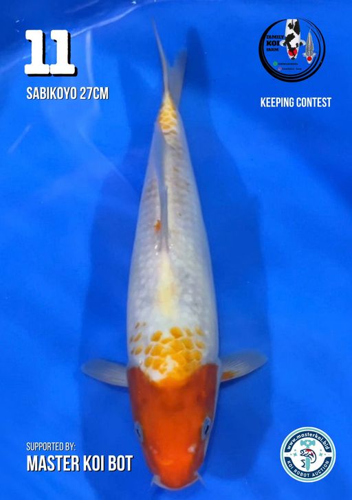 Lelang Koi Online, Jual Beli Ikan Koi, Pusat Jual Beli Koi, Info Lelang Koi Hari Ini, Platform Jual Beli Koi, Jual Beli Ikan Koi Online, Marketplace Ikan Koi, Jual Koi Terbaik, Tempat Beli Koi Berkualitas, Pasar Ikan Koi Online Terpercaya, Penjual Ikan Koi Terpercaya, Beli Koi Hias Online, Ikan Koi untuk Dijual, Koi Kualitas Terbaik, Toko Online Ikan Koi, Koi Hias Untuk Dijual, Jual Beli Ikan Koi Lokal, Koi Indonesia Online, Pusat Jual Beli Koi Terbesar