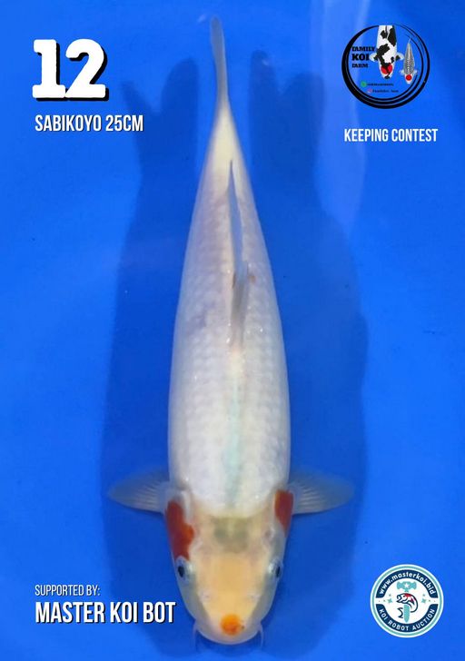 Lelang Koi Online, Jual Beli Ikan Koi, Pusat Jual Beli Koi, Info Lelang Koi Hari Ini, Platform Jual Beli Koi, Jual Beli Ikan Koi Online, Marketplace Ikan Koi, Jual Koi Terbaik, Tempat Beli Koi Berkualitas, Pasar Ikan Koi Online Terpercaya, Penjual Ikan Koi Terpercaya, Beli Koi Hias Online, Ikan Koi untuk Dijual, Koi Kualitas Terbaik, Toko Online Ikan Koi, Koi Hias Untuk Dijual, Jual Beli Ikan Koi Lokal, Koi Indonesia Online, Pusat Jual Beli Koi Terbesar