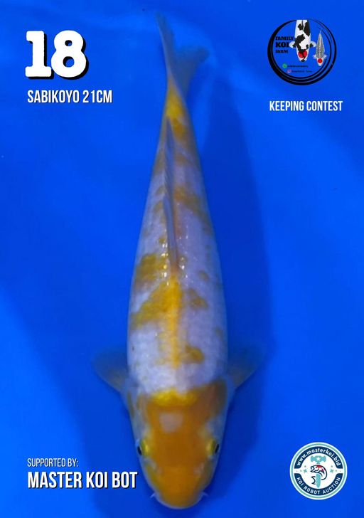 Lelang Koi Online, Jual Beli Ikan Koi, Pusat Jual Beli Koi, Info Lelang Koi Hari Ini, Platform Jual Beli Koi, Jual Beli Ikan Koi Online, Marketplace Ikan Koi, Jual Koi Terbaik, Tempat Beli Koi Berkualitas, Pasar Ikan Koi Online Terpercaya, Penjual Ikan Koi Terpercaya, Beli Koi Hias Online, Ikan Koi untuk Dijual, Koi Kualitas Terbaik, Toko Online Ikan Koi, Koi Hias Untuk Dijual, Jual Beli Ikan Koi Lokal, Koi Indonesia Online, Pusat Jual Beli Koi Terbesar