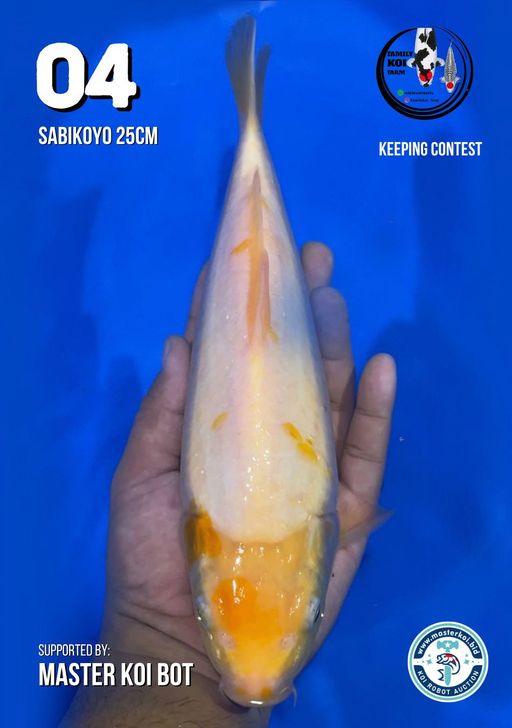 Lelang Koi Online, Jual Beli Ikan Koi, Pusat Jual Beli Koi, Info Lelang Koi Hari Ini, Platform Jual Beli Koi, Jual Beli Ikan Koi Online, Marketplace Ikan Koi, Jual Koi Terbaik, Tempat Beli Koi Berkualitas, Pasar Ikan Koi Online Terpercaya, Penjual Ikan Koi Terpercaya, Beli Koi Hias Online, Ikan Koi untuk Dijual, Koi Kualitas Terbaik, Toko Online Ikan Koi, Koi Hias Untuk Dijual, Jual Beli Ikan Koi Lokal, Koi Indonesia Online, Pusat Jual Beli Koi Terbesar