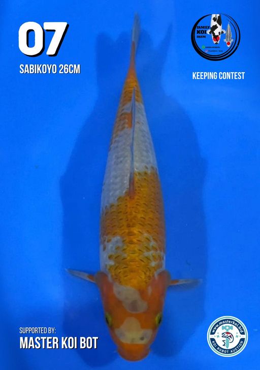 Lelang Koi Online, Jual Beli Ikan Koi, Pusat Jual Beli Koi, Info Lelang Koi Hari Ini, Platform Jual Beli Koi, Jual Beli Ikan Koi Online, Marketplace Ikan Koi, Jual Koi Terbaik, Tempat Beli Koi Berkualitas, Pasar Ikan Koi Online Terpercaya, Penjual Ikan Koi Terpercaya, Beli Koi Hias Online, Ikan Koi untuk Dijual, Koi Kualitas Terbaik, Toko Online Ikan Koi, Koi Hias Untuk Dijual, Jual Beli Ikan Koi Lokal, Koi Indonesia Online, Pusat Jual Beli Koi Terbesar