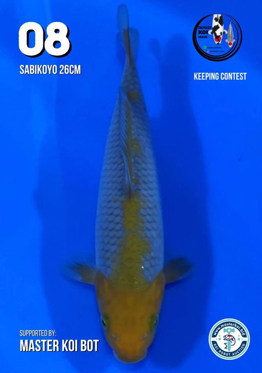 Lelang Koi Online, Jual Beli Ikan Koi, Pusat Jual Beli Koi, Info Lelang Koi Hari Ini, Platform Jual Beli Koi, Jual Beli Ikan Koi Online, Marketplace Ikan Koi, Jual Koi Terbaik, Tempat Beli Koi Berkualitas, Pasar Ikan Koi Online Terpercaya, Penjual Ikan Koi Terpercaya, Beli Koi Hias Online, Ikan Koi untuk Dijual, Koi Kualitas Terbaik, Toko Online Ikan Koi, Koi Hias Untuk Dijual, Jual Beli Ikan Koi Lokal, Koi Indonesia Online, Pusat Jual Beli Koi Terbesar