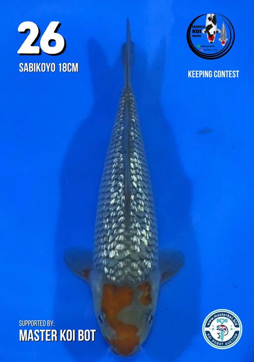 Lelang Koi Online, Jual Beli Ikan Koi, Pusat Jual Beli Koi, Info Lelang Koi Hari Ini, Platform Jual Beli Koi, Jual Beli Ikan Koi Online, Marketplace Ikan Koi, Jual Koi Terbaik, Tempat Beli Koi Berkualitas, Pasar Ikan Koi Online Terpercaya, Penjual Ikan Koi Terpercaya, Beli Koi Hias Online, Ikan Koi untuk Dijual, Koi Kualitas Terbaik, Toko Online Ikan Koi, Koi Hias Untuk Dijual, Jual Beli Ikan Koi Lokal, Koi Indonesia Online, Pusat Jual Beli Koi Terbesar