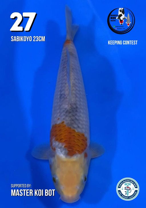 Lelang Koi Online, Jual Beli Ikan Koi, Pusat Jual Beli Koi, Info Lelang Koi Hari Ini, Platform Jual Beli Koi, Jual Beli Ikan Koi Online, Marketplace Ikan Koi, Jual Koi Terbaik, Tempat Beli Koi Berkualitas, Pasar Ikan Koi Online Terpercaya, Penjual Ikan Koi Terpercaya, Beli Koi Hias Online, Ikan Koi untuk Dijual, Koi Kualitas Terbaik, Toko Online Ikan Koi, Koi Hias Untuk Dijual, Jual Beli Ikan Koi Lokal, Koi Indonesia Online, Pusat Jual Beli Koi Terbesar