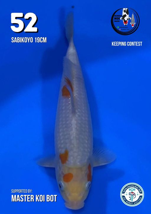 Lelang Koi Online, Jual Beli Ikan Koi, Pusat Jual Beli Koi, Info Lelang Koi Hari Ini, Platform Jual Beli Koi, Jual Beli Ikan Koi Online, Marketplace Ikan Koi, Jual Koi Terbaik, Tempat Beli Koi Berkualitas, Pasar Ikan Koi Online Terpercaya, Penjual Ikan Koi Terpercaya, Beli Koi Hias Online, Ikan Koi untuk Dijual, Koi Kualitas Terbaik, Toko Online Ikan Koi, Koi Hias Untuk Dijual, Jual Beli Ikan Koi Lokal, Koi Indonesia Online, Pusat Jual Beli Koi Terbesar