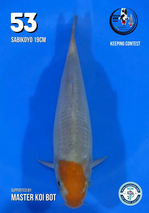 Lelang Koi Online, Jual Beli Ikan Koi, Pusat Jual Beli Koi, Info Lelang Koi Hari Ini, Platform Jual Beli Koi, Jual Beli Ikan Koi Online, Marketplace Ikan Koi, Jual Koi Terbaik, Tempat Beli Koi Berkualitas, Pasar Ikan Koi Online Terpercaya, Penjual Ikan Koi Terpercaya, Beli Koi Hias Online, Ikan Koi untuk Dijual, Koi Kualitas Terbaik, Toko Online Ikan Koi, Koi Hias Untuk Dijual, Jual Beli Ikan Koi Lokal, Koi Indonesia Online, Pusat Jual Beli Koi Terbesar