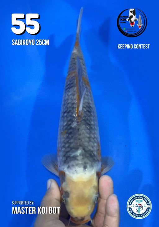 Lelang Koi Online, Jual Beli Ikan Koi, Pusat Jual Beli Koi, Info Lelang Koi Hari Ini, Platform Jual Beli Koi, Jual Beli Ikan Koi Online, Marketplace Ikan Koi, Jual Koi Terbaik, Tempat Beli Koi Berkualitas, Pasar Ikan Koi Online Terpercaya, Penjual Ikan Koi Terpercaya, Beli Koi Hias Online, Ikan Koi untuk Dijual, Koi Kualitas Terbaik, Toko Online Ikan Koi, Koi Hias Untuk Dijual, Jual Beli Ikan Koi Lokal, Koi Indonesia Online, Pusat Jual Beli Koi Terbesar
