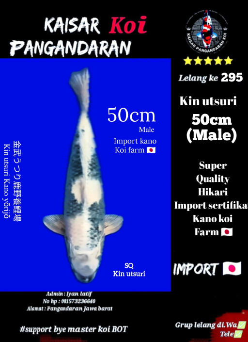 Lelang Koi Online, Jual Beli Ikan Koi, Pusat Jual Beli Koi, Info Lelang Koi Hari Ini, Platform Jual Beli Koi, Jual Beli Ikan Koi Online, Marketplace Ikan Koi, Jual Koi Terbaik, Tempat Beli Koi Berkualitas, Pasar Ikan Koi Online Terpercaya, Penjual Ikan Koi Terpercaya, Beli Koi Hias Online, Ikan Koi untuk Dijual, Koi Kualitas Terbaik, Toko Online Ikan Koi, Koi Hias Untuk Dijual, Jual Beli Ikan Koi Lokal, Koi Indonesia Online, Pusat Jual Beli Koi Terbesar