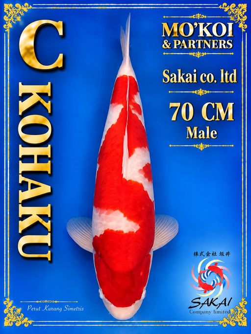 C. KOHAKU SAKAI CO L...