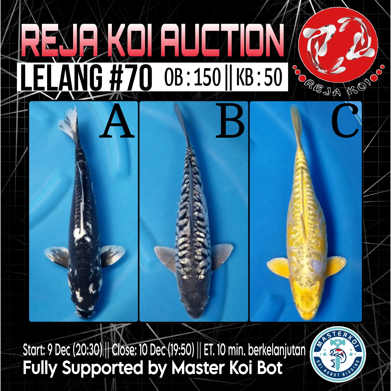 Lelang Koi Online, Jual Beli Ikan Koi, Pasar Koi Terbaik, Agen Lelang Koi, Penawaran Koi Berkualitas, Harga Jual Koi, Lelang Ikan Koi Import, Beli Koi Online, Jual Koi Murah, Koi Showroom, Penjual Koi Terpercaya, Lelang Koi Jakarta, Jual Koi Lokal, Koi Kualitas Unggul, Harga Terbaik Koi, Jual Koi Indukan, Lelang Ikan Hias Koi, Pasar Koi Indonesia, Beli Koi Berkualitas Tinggi, Koi Farm Terbesar, Jual Beli Koi Impor, Lelang Ikan Koi Kualitas Premium, Daftar Harga Koi Terbaru, Pusat Jual Beli Koi, Info Lelang Koi Hari Ini.