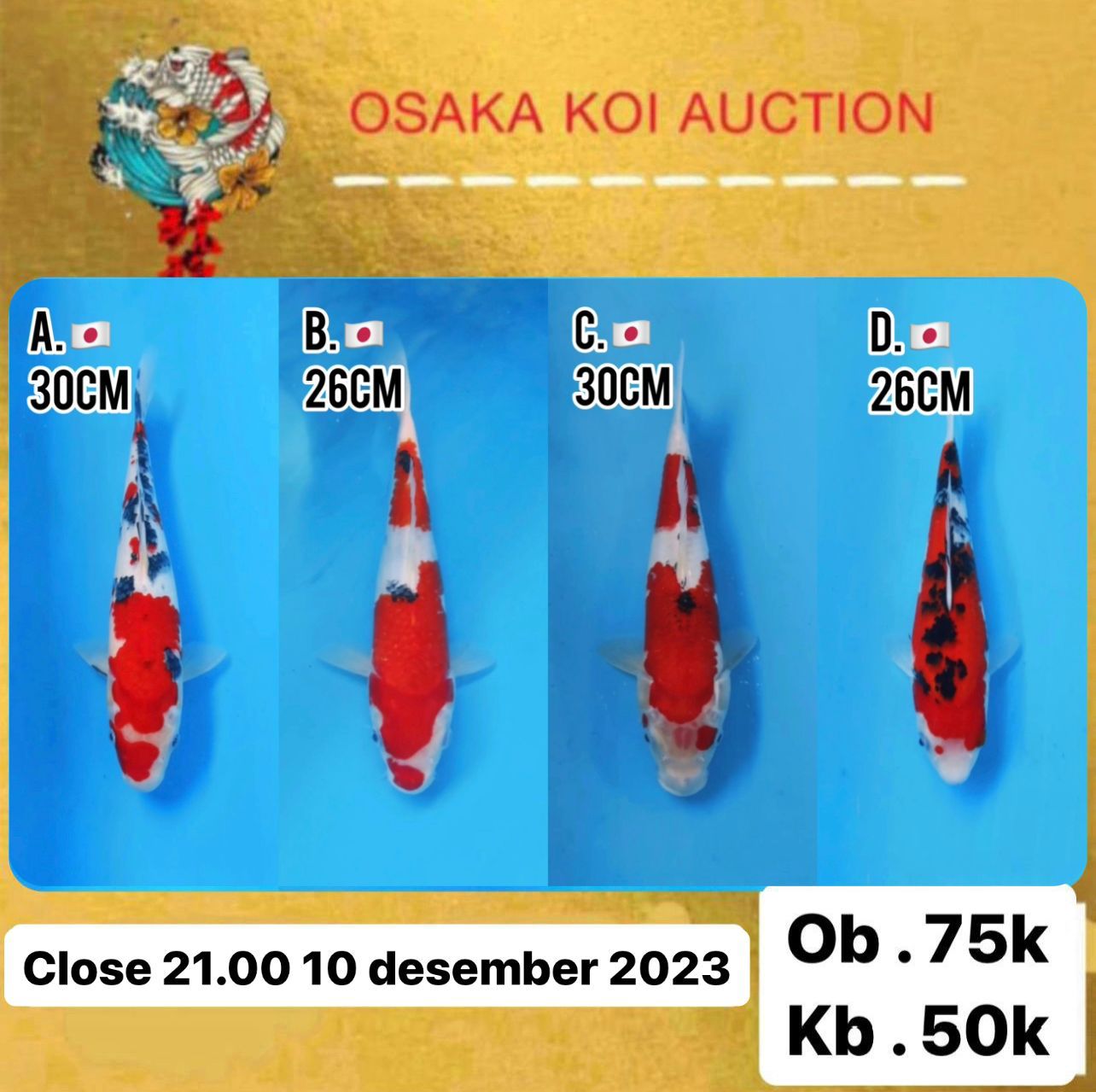 Lelang Koi Online, Jual Beli Ikan Koi, Pasar Koi Terbaik, Agen Lelang Koi, Penawaran Koi Berkualitas, Harga Jual Koi, Lelang Ikan Koi Import, Beli Koi Online, Jual Koi Murah, Koi Showroom, Penjual Koi Terpercaya, Lelang Koi Jakarta, Jual Koi Lokal, Koi Kualitas Unggul, Harga Terbaik Koi, Jual Koi Indukan, Lelang Ikan Hias Koi, Pasar Koi Indonesia, Beli Koi Berkualitas Tinggi, Koi Farm Terbesar, Jual Beli Koi Impor, Lelang Ikan Koi Kualitas Premium, Daftar Harga Koi Terbaru, Pusat Jual Beli Koi, Info Lelang Koi Hari Ini.