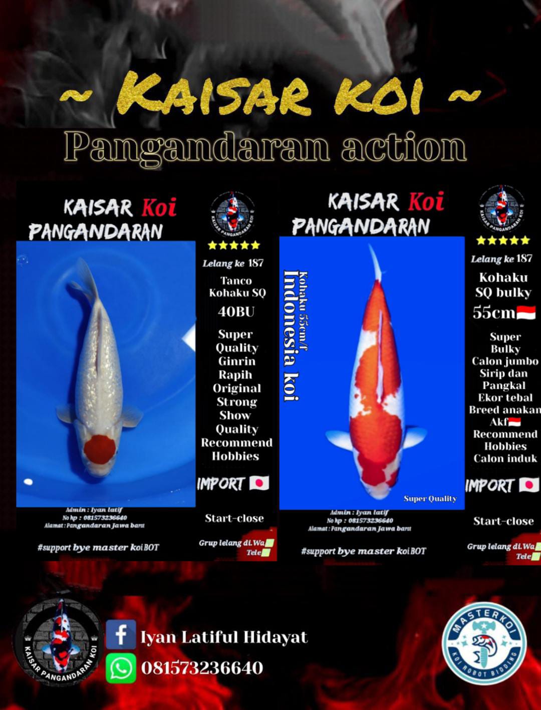 Lelang Koi Online, Jual Beli Ikan Koi, Pasar Koi Terbaik, Agen Lelang Koi, Penawaran Koi Berkualitas, Harga Jual Koi, Lelang Ikan Koi Import, Beli Koi Online, Jual Koi Murah, Koi Showroom, Penjual Koi Terpercaya, Lelang Koi Jakarta, Jual Koi Lokal, Koi Kualitas Unggul, Harga Terbaik Koi, Jual Koi Indukan, Lelang Ikan Hias Koi, Pasar Koi Indonesia, Beli Koi Berkualitas Tinggi, Koi Farm Terbesar, Jual Beli Koi Impor, Lelang Ikan Koi Kualitas Premium, Daftar Harga Koi Terbaru, Pusat Jual Beli Koi, Info Lelang Koi Hari Ini.