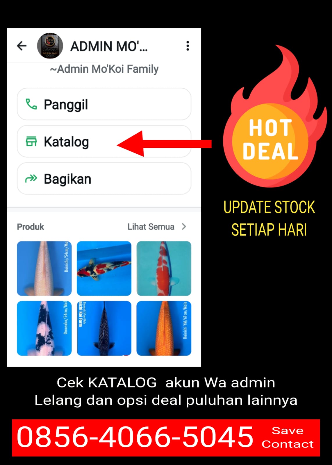 Lelang Koi Online, Jual Beli Ikan Koi, Pasar Koi Terbaik, Agen Lelang Koi, Penawaran Koi Berkualitas, Harga Jual Koi, Lelang Ikan Koi Import, Beli Koi Online, Jual Koi Murah, Koi Showroom, Penjual Koi Terpercaya, Lelang Koi Jakarta, Jual Koi Lokal, Koi Kualitas Unggul, Harga Terbaik Koi, Jual Koi Indukan, Lelang Ikan Hias Koi, Pasar Koi Indonesia, Beli Koi Berkualitas Tinggi, Koi Farm Terbesar, Jual Beli Koi Impor, Lelang Ikan Koi Kualitas Premium, Daftar Harga Koi Terbaru, Pusat Jual Beli Koi, Info Lelang Koi Hari Ini.